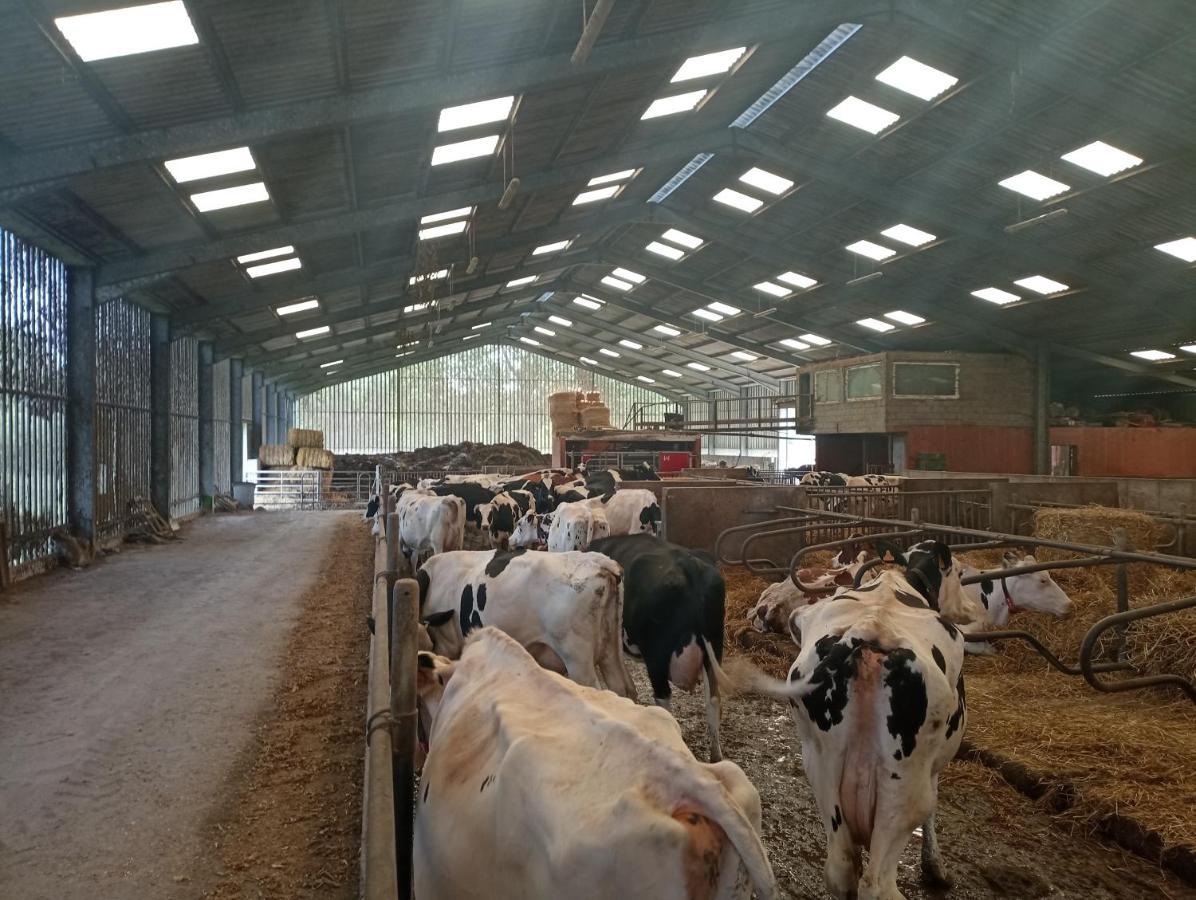 Gite A La Ferme Chez Magali Escaudoeuvres Bagian luar foto