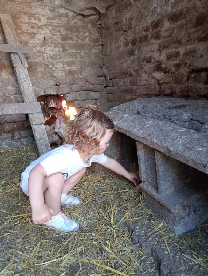 Gite A La Ferme Chez Magali Escaudoeuvres Bagian luar foto