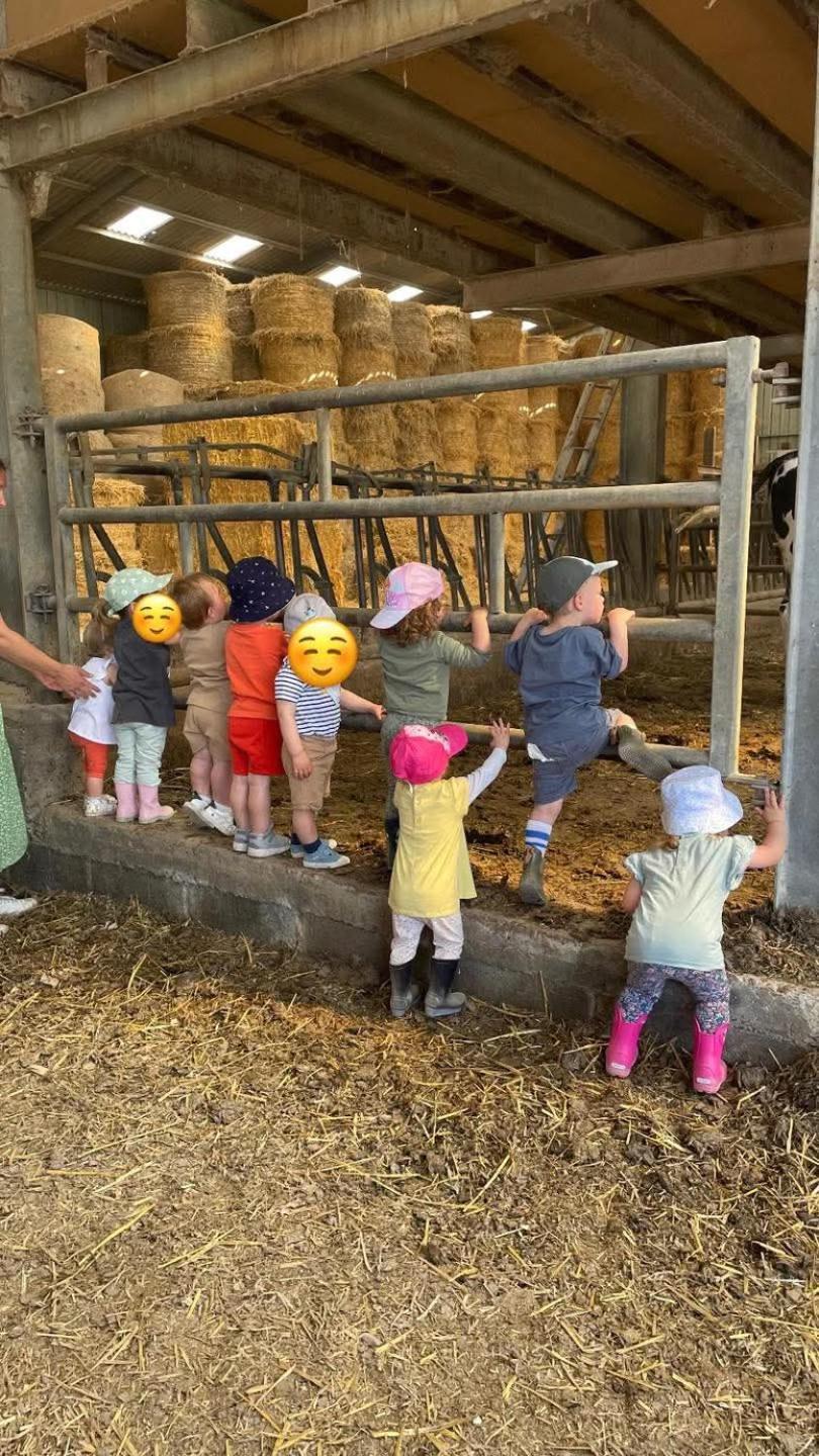Gite A La Ferme Chez Magali Escaudoeuvres Bagian luar foto